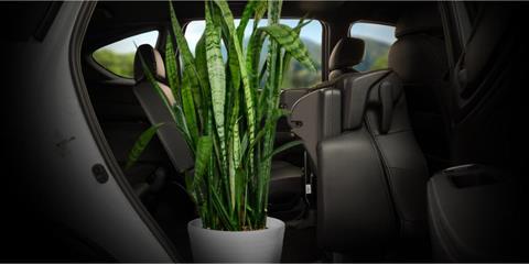 KHÔNG GIAN GẬP HÀNG GHẾ THỨ 2 tại đại lý Toyota Vinh